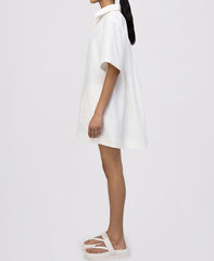 Lucienne Short sleeve  Mini Dress